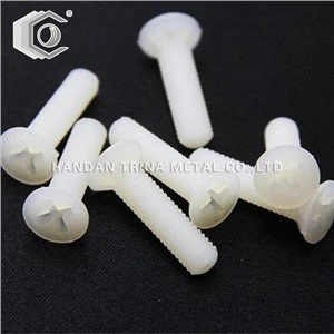 DIN965 plastik nilon Csk machin vis